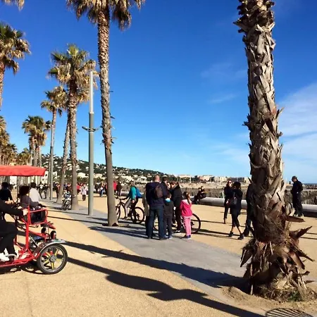 Moderne Avec Mezzanine Et Parking Proche - Fr-1-338-314 Sète